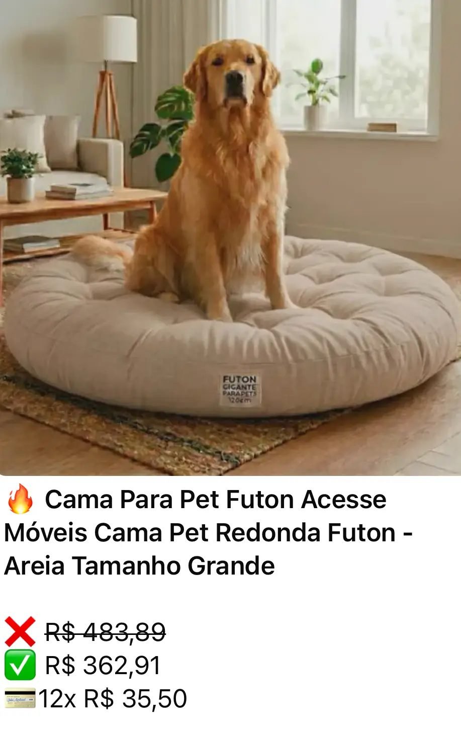 Print de oferta real 2
